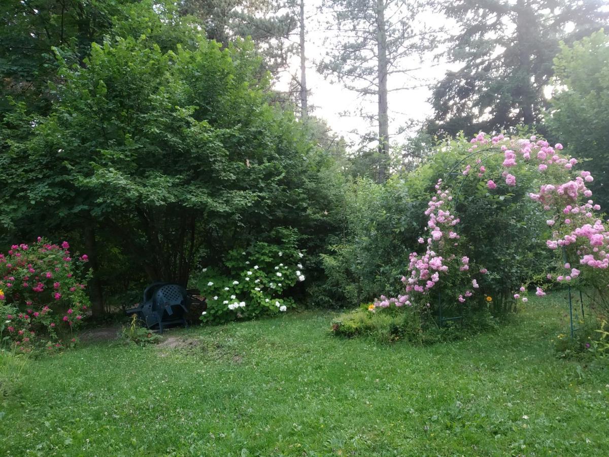 Apartmani Eho Zlatibor Eksteriør bilde